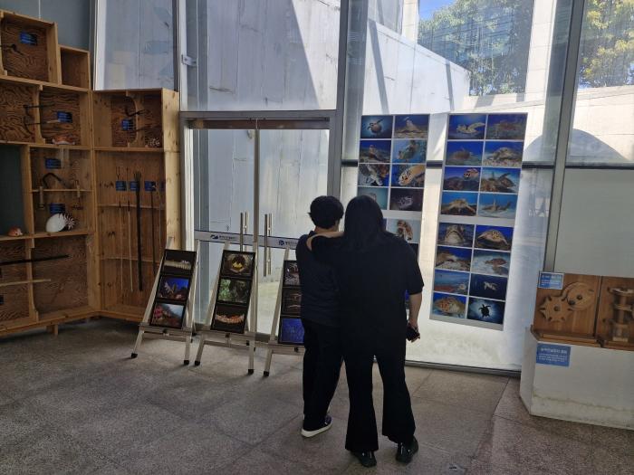 통영관광개발공사, 어린이날 특집 물고기 사진전 개최 기사 이미지