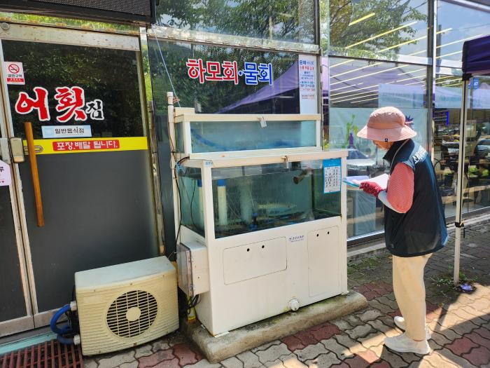 통영시, 횟집·식품접객업소 위생 점검 실시 기사 이미지