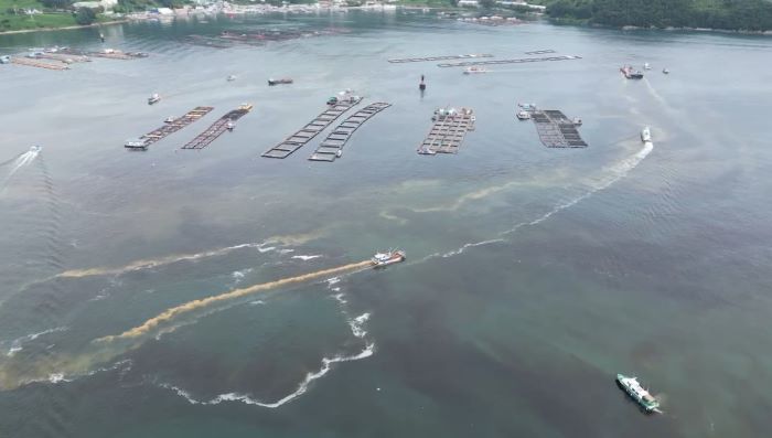 통영시, 6년 만의 적조 비상…총력 대응 나서 기사 이미지