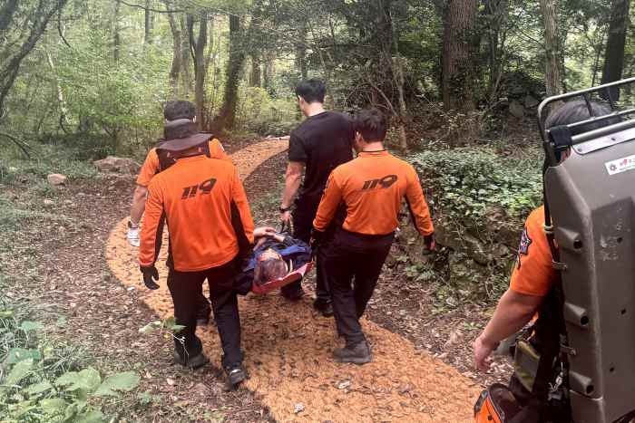 통영소방서, 미륵산 산악 사고 부상자 신속 구조 기사 이미지