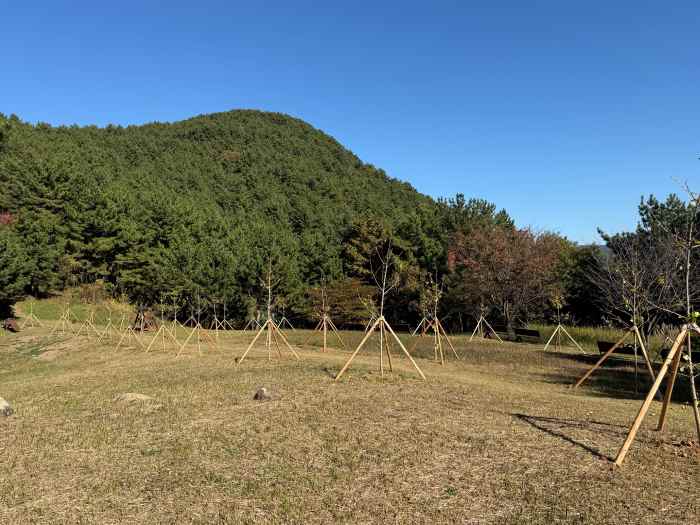 통영시, 용남면 ‘삼봉산 힐링 숲’ 조성 사업 준공 기사 이미지