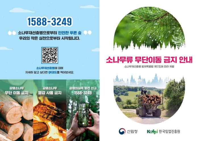 통영시, 가을철 소나무류 이동 특별 단속 실시 기사 이미지