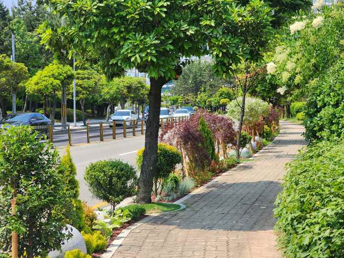 통영시, ‘2025 도시 숲·녹지 공간 조성’ 최우수 기관 선정 기사 이미지