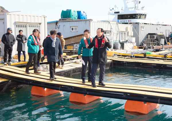 통영시, 겨울 한파 대비 가두리양식장 저수온 피해 예방 총력 기사 이미지