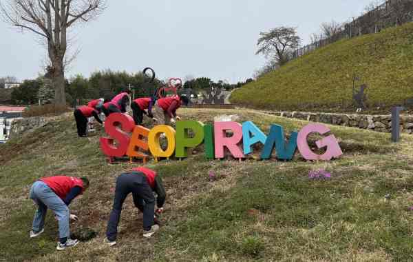 명정동, 서피랑 축제 앞두고 ‘꽃길 조성’ 속도 낸다 기사 이미지
