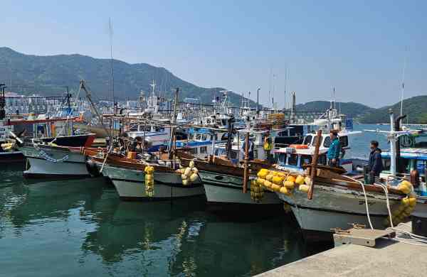 통영시, 연안 어선 68척 감척 추진…수산 자원 회복·어업 경영 안정 기대 기사 이미지